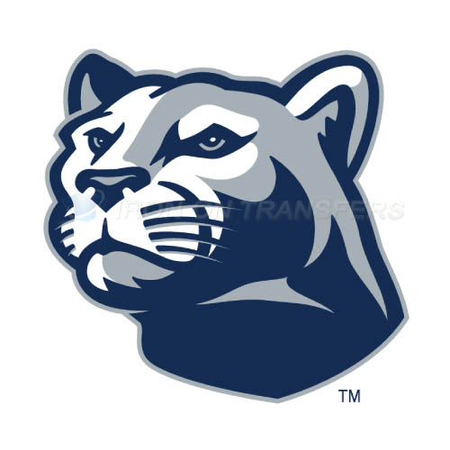 Penn State Nittany Lions Iron-on Stickers (Heat Transfers)NO.5866
